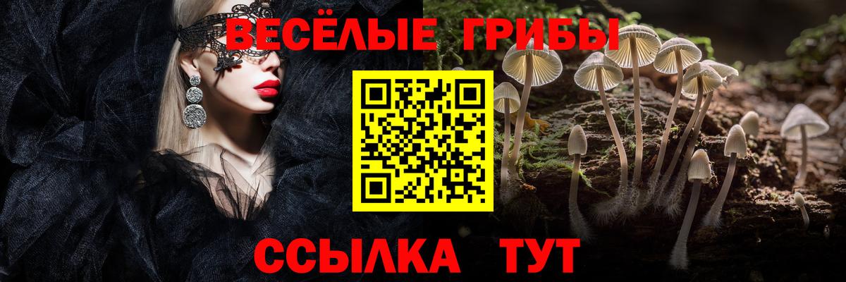 Псилоцибиновые грибы Cubensis  Вход с VPN  магазин  наркотиков  Тулун 